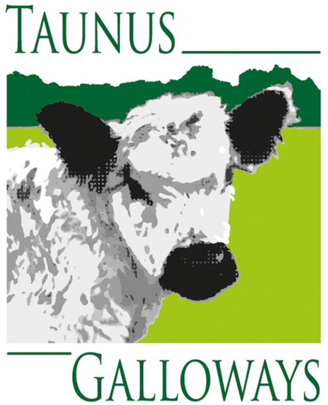Taunus Galloways